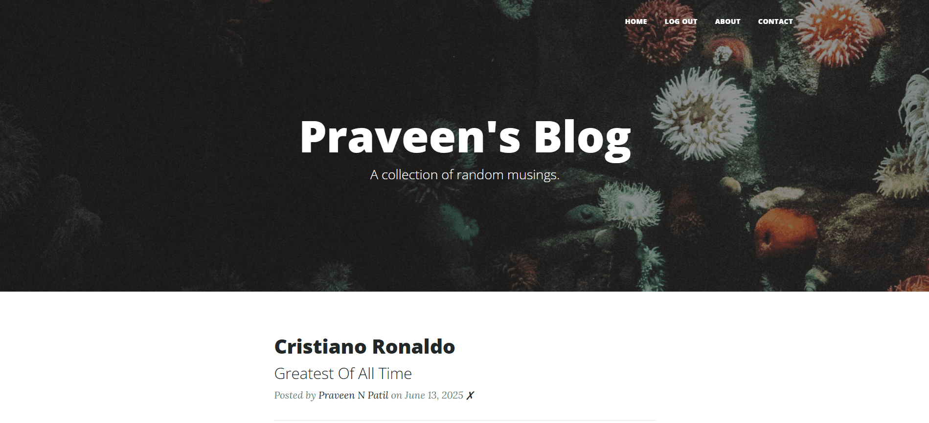 Blogopedia project screenshot